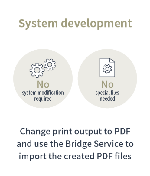 System development