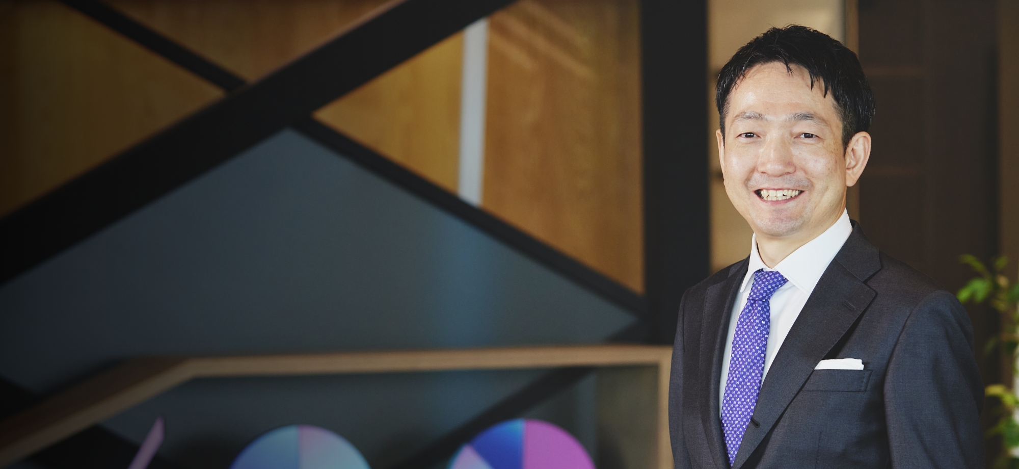 公共ソリューション戦略